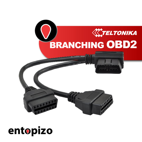 VERZWEIGUNG OBD2
