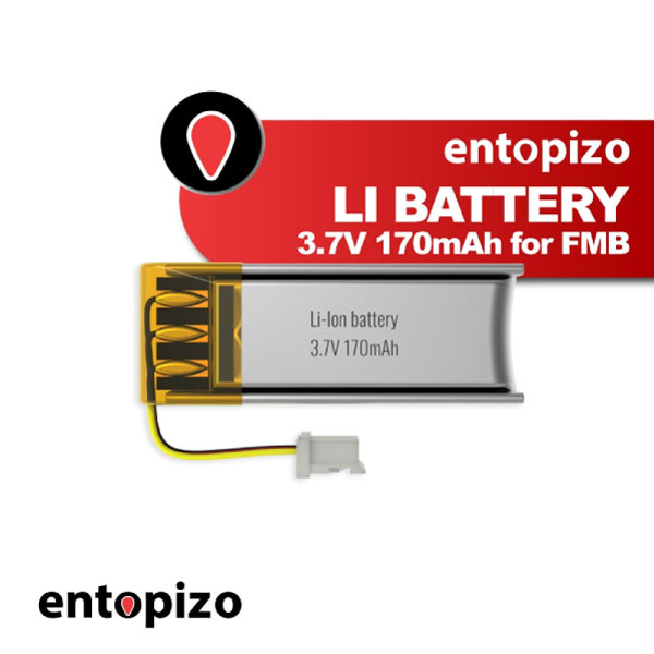 Lithium-Akku 3,7 V, 170 mAh für FMB