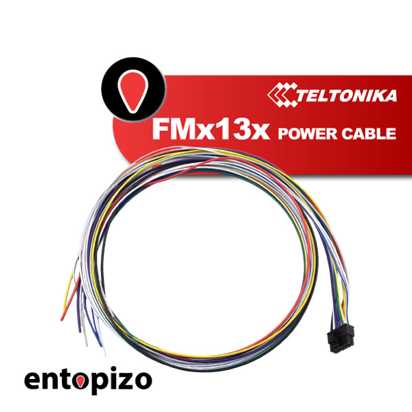 Teltonika PGWS00007030 FMx12x FMx13x 1,5 m Stromkabel
