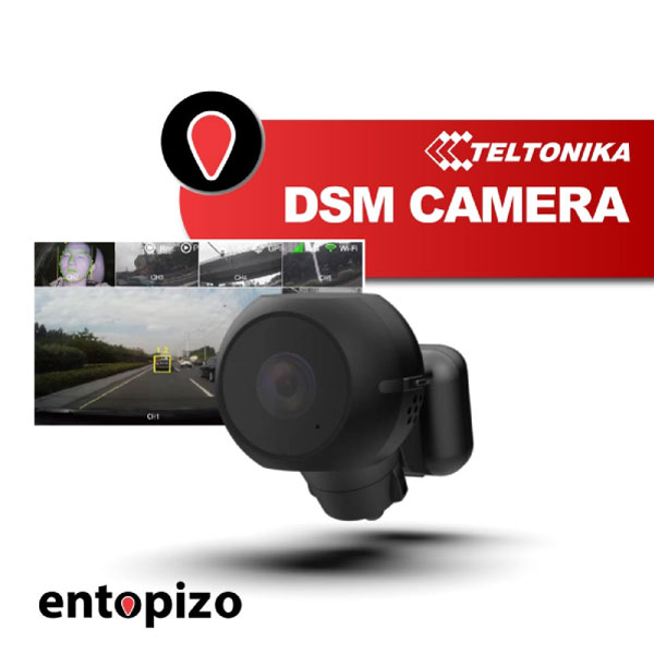 Teltonika DSM-Kamera