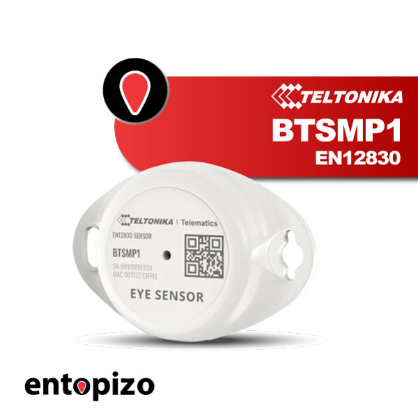 Temperatursensor | Teltonika BTSMP1 EN12830