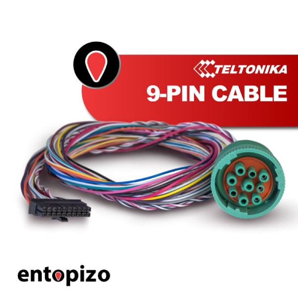 Teltonika FMx6-Serie 9-PIN Kabel (PPCB00007240)